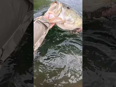 HUGE Fish caught in Amazon fishing challenge! #fishing #bassfishing #fishingchallenge #fishingdaily
