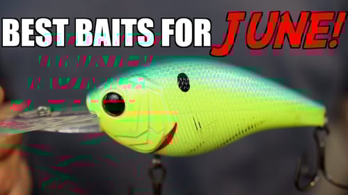 Top 3 BAITS For JUNE Bass Fishing!