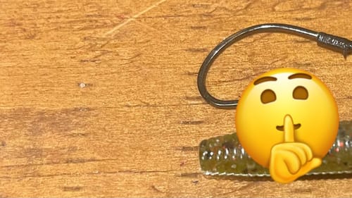 Catch 100 Bass A Day With This “Finesse” Wacky Rig Modification