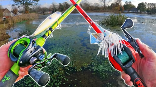 Topwater Fishing For GIANT BASS In HUGE, POPULAR PUBLIC LAKE!