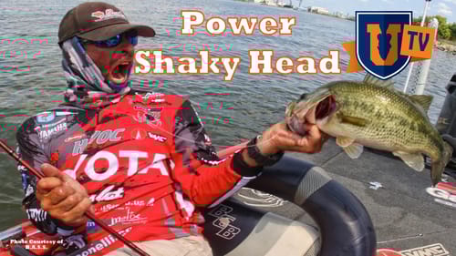 Power Shaky Head and Swinging Jigs with Mike Iaconelli