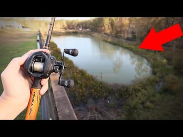 How To ALWAYS Catch WINTER Fish (Works Every Time!)