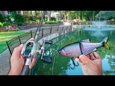 Fishing BIG Swimbaits For GIANT Urban Bass! (Bank Fishing)