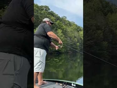 Does This Thing Catch Bass?