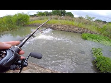 Found a NEW Pond In Texas!