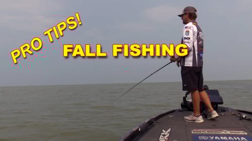 Fall Fishing Strategies | Bass Fishing