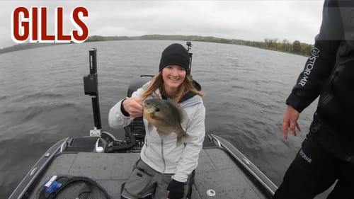 Monster Gills on Jigs and Dropshot Rigs w/ Bass Brawl Outdoors