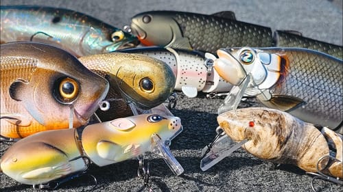 Wakebait Fishing For Bass! (Everything You Need To Know)