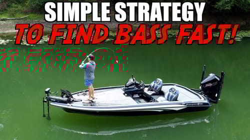 FIND BASS on ANY Lake in 1 Day with THIS Video!