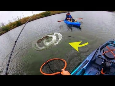 I CAN’T GET IT IN THE NET!!!! (monster)