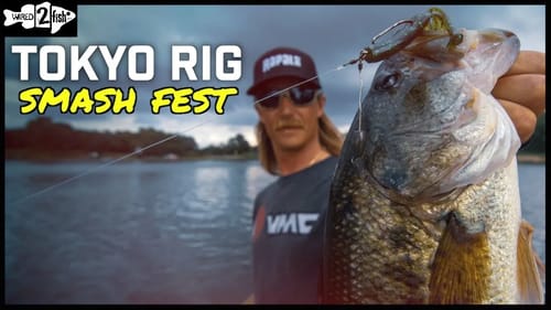 Tokyo Rigging Bass Shallow to Deep - First Impressions