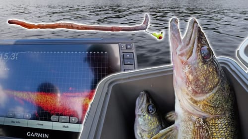 This isn't Fair! Catching GIANT Walleye with Live Worms & Livescope
