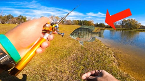 I Bought The WORLDS SMALLEST Fishing Reel (BLUEGILL FISHING)