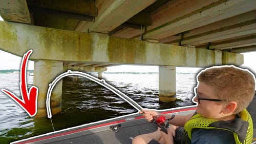 He Caught the BIGGEST Fish we've seen Under the Bridge!!