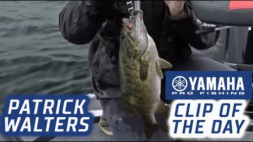 Yamaha Clip of the Day: Walters lands a massive late-day cull