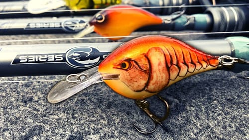 TRULY The Best Way To Catch LATE FALL BASS