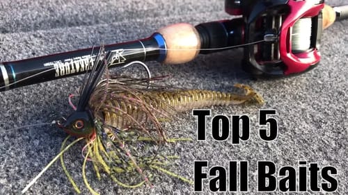 Top 5 Fall Baits and How to Fish'em