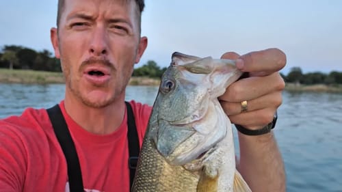 BACK IN MY BOAT! Fishing Googan Worms for Summer Bass