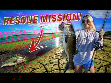 Saving GIANT Bass From a Draining Lake!!