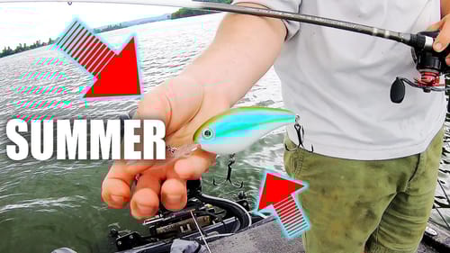 LURES You DON'T Want to FISH for BASS WITHOUT!!!  (Summer TIPS)