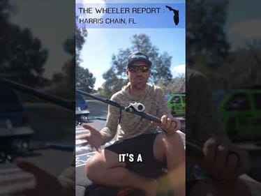 Major League Fishing Harris Chain Report! #shorts