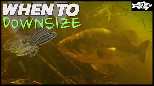 3 Often Overlooked Keys to Punching Mats for Bass