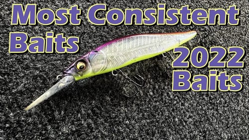 Most Consistent Baits Of 2022 - BassGeek Buyers Guide