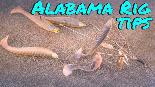 Early Spring A-Rig Tricks For Prespawn Bass