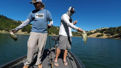 New Lake Series: Bad Driving, Getting Lost, and Bass Fishing