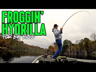 Chasing MY LAST Frog Fish of 2024!! || Fall Bass Fishing