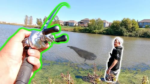 MASSIVE Catch of a Lifetime while BANK FISHING!!! (Biggest Fish EVER)