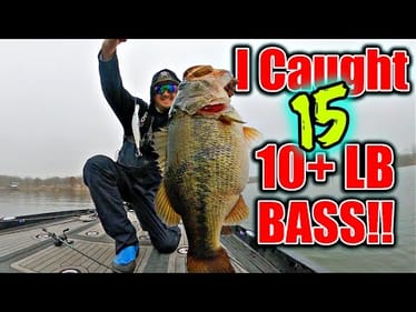 Catching 15 DOUBLE DIGIT Bass in 35 Minutes