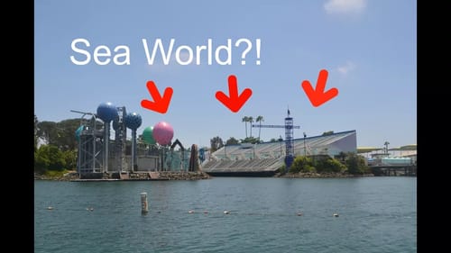 Fishing At Sea World?? Spotted Bay Bass Fishing!
