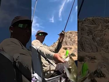 A well placed cast by @Jellifishing leads to an insta slurp.