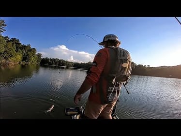 CATCHING FINICKY BASS!!!  THERE WAS HUNDREDS!!!