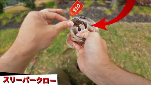 This $10 Japanese Fishing Lure Catches Fish! (Sleeper Craw by Mega Bass)