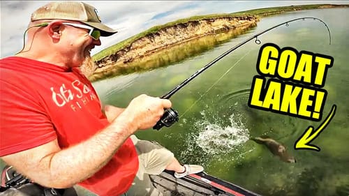 I Took Him to the BEST TROPHY LAKE on the Planet! (EVERY Fish is Massive)