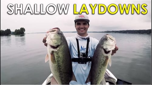 How to Fish Shallow Wood for Early Fall Bass
