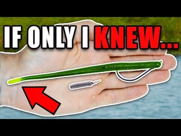 What I WISH Someone TOLD ME About Dropshot Fishing!