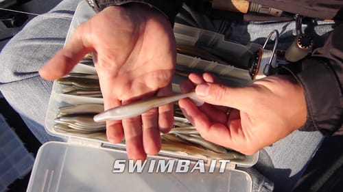Soft Jerkbaits for bass