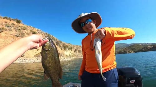 Non-Stop ACTION in a Crystal Clear Reservoir! (Bass fishing at Castaic Lake)