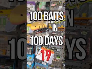 100 Baits In 100 Days - Day 19: AK Punch Soft Plastic Crawfish Bait #fishing