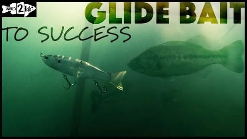 The Basics of Glide Bait Fishing Bass