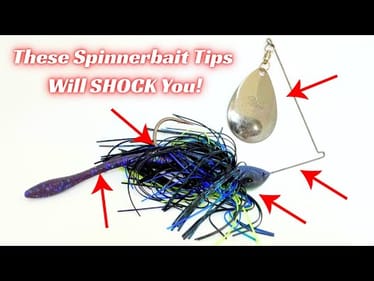 Three Spinnerbait Tips That Will Surprise You! 