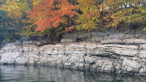 Top Technique And Area For Bass Fishing In November…