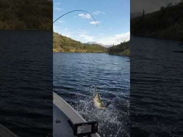 DON’T TRY THIS WHEN YOU GO FISHING!