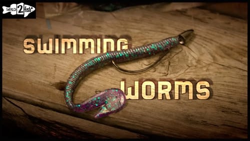When and Where to Swim a Worm for Bass