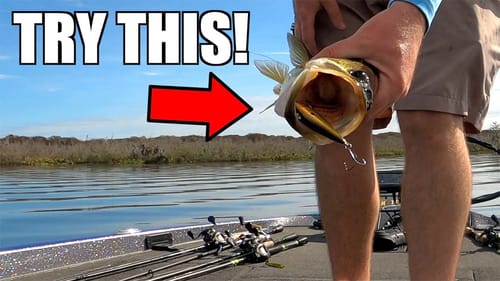 SECRET Lipless Crankbait to CATCH MORE Bass!
