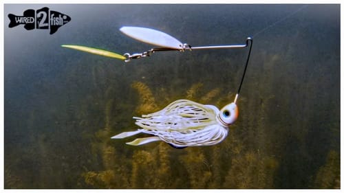 Painted Blades on Spinnerbaits - Why They're a Must-Have