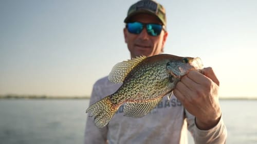 My  FIRST Time CRAPPIE Fishing  🤬 with LIVE Minnows